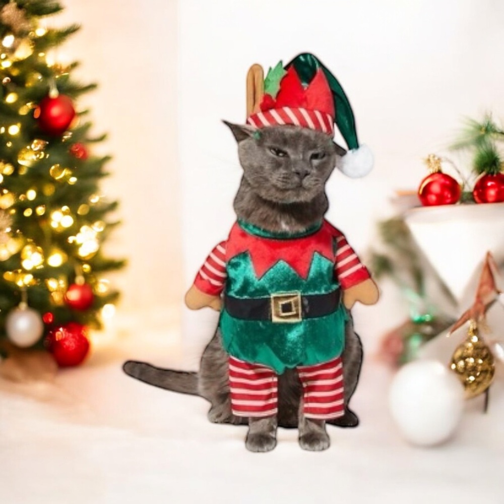 Festive Cat Elf Costume in Green and Red